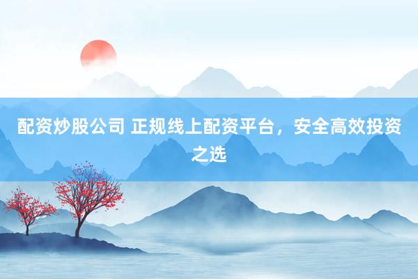 配资炒股公司 正规线上配资平台，安全高效投资之选