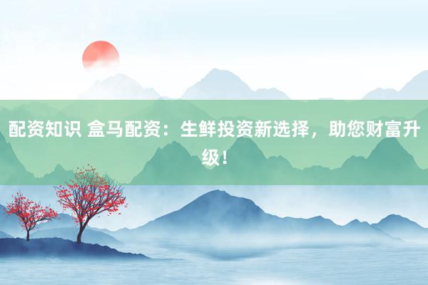 配资知识 盒马配资：生鲜投资新选择，助您财富升级！