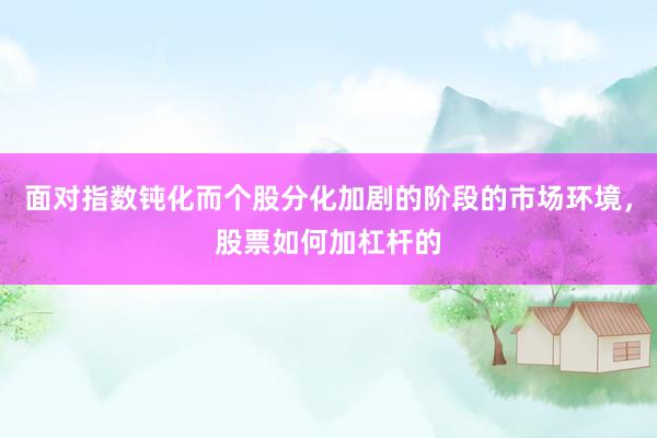 面对指数钝化而个股分化加剧的阶段的市场环境，股票如何加杠杆的