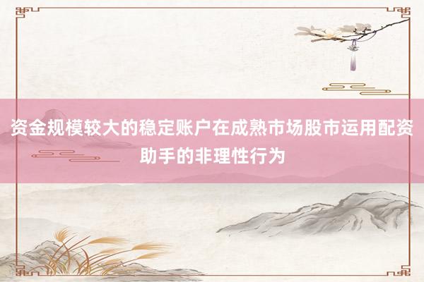资金规模较大的稳定账户在成熟市场股市运用配资助手的非理性行为