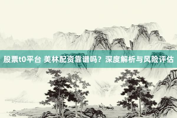 股票t0平台 美林配资靠谱吗？深度解析与风险评估